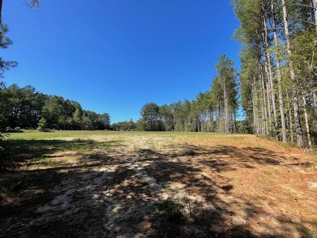 6 Grooms Road Photo 7