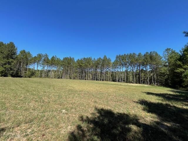 6 Grooms Road Photo 8