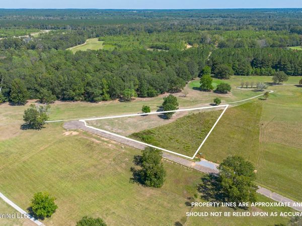 0 Club Dr., Collins, MS 39428