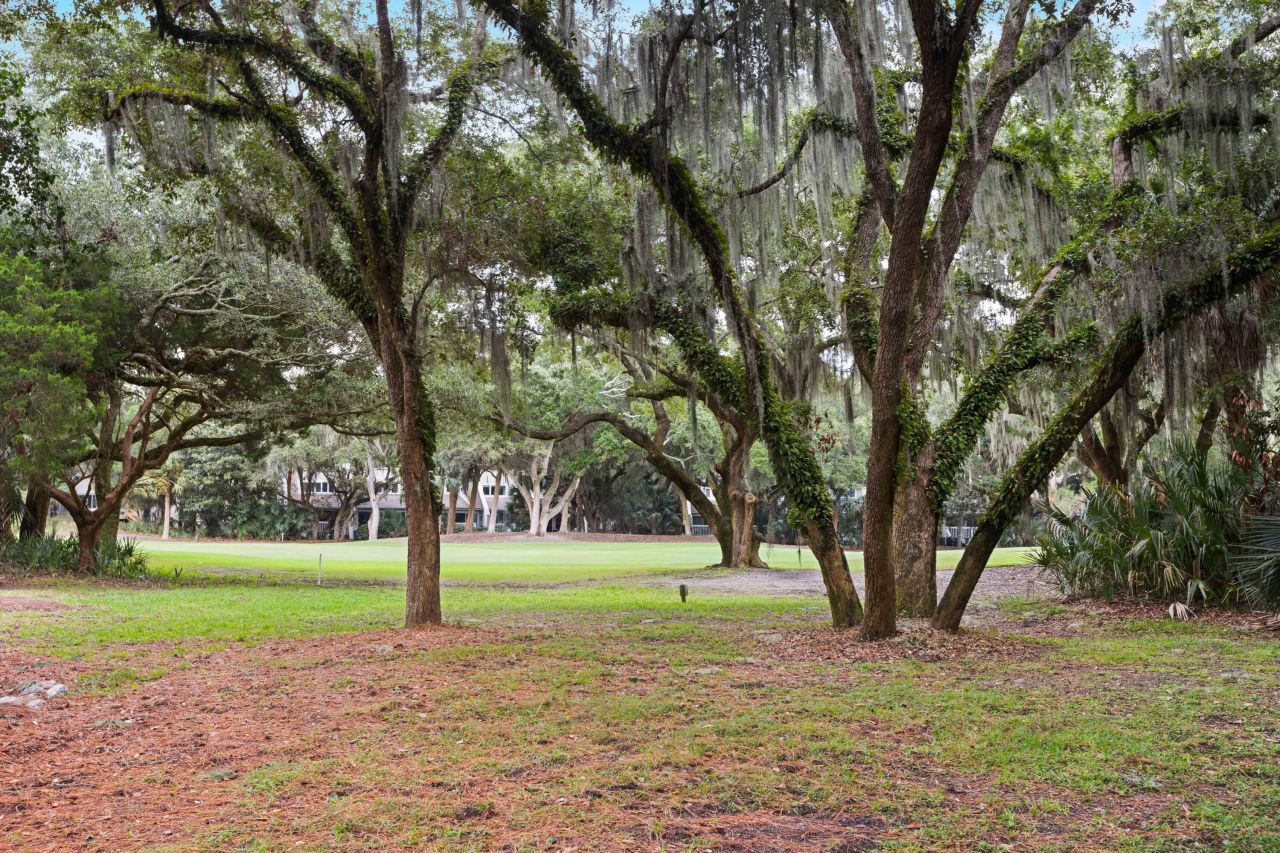 172 High Hammock Road Photo 23