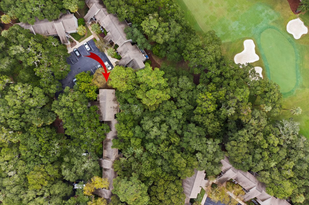 172 High Hammock Road Photo 29