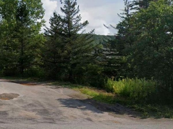 00 Crescent Hill Road, Andes, NY 13731