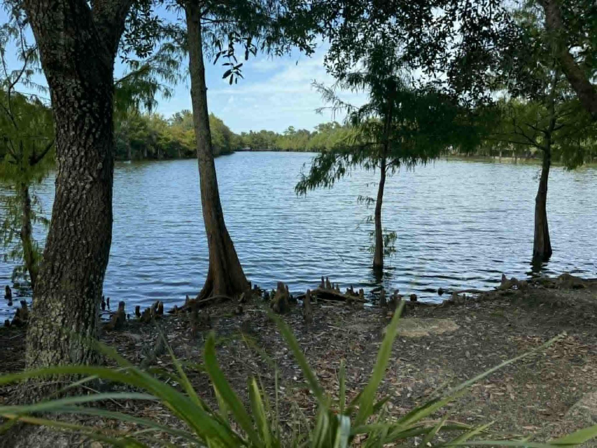 2527 SE Ruskin Drive, Port Saint Lucie, FL 34952 Photo