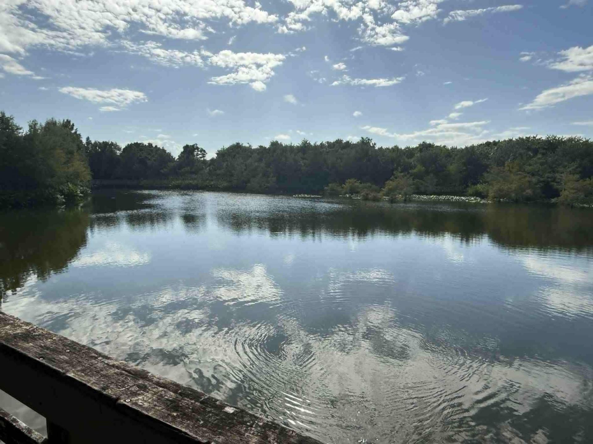 2527 SE Ruskin Drive, Port Saint Lucie, FL 34952 Photo