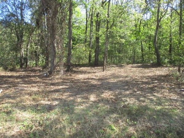 1129 Reese Road, Bethpage, TN 37022