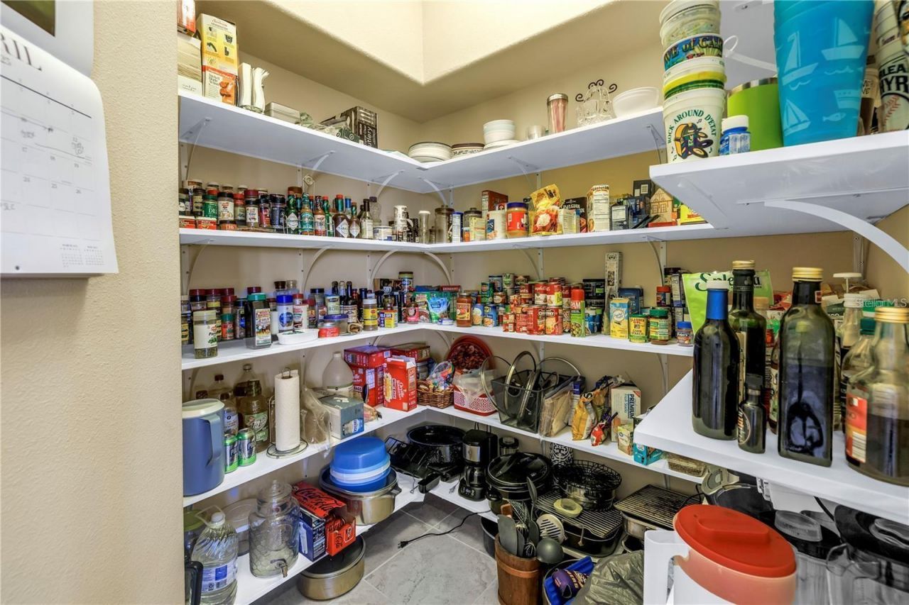 2101 N Pointe Alexis Drive, Tarpon Springs, FL 34689 Photo