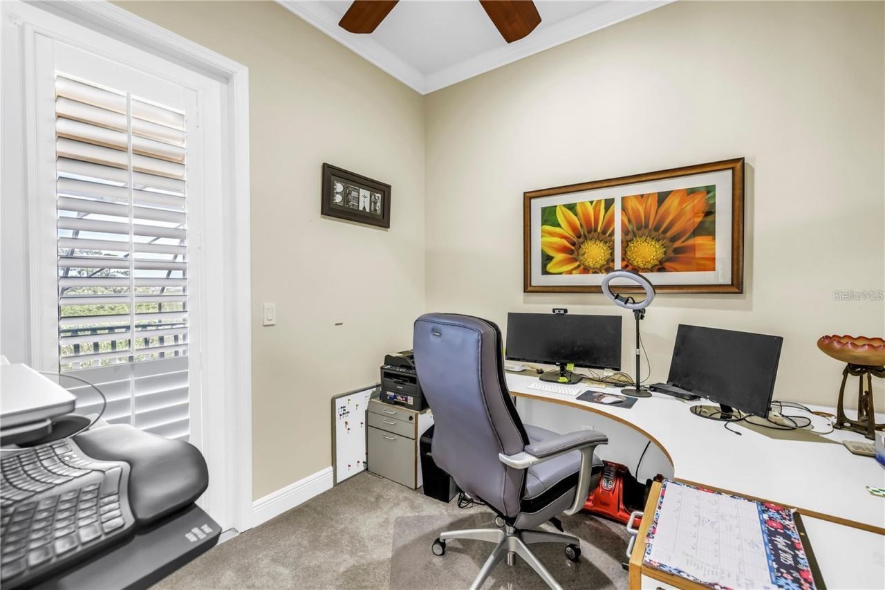 2101 N Pointe Alexis Drive, Tarpon Springs, FL 34689 Photo