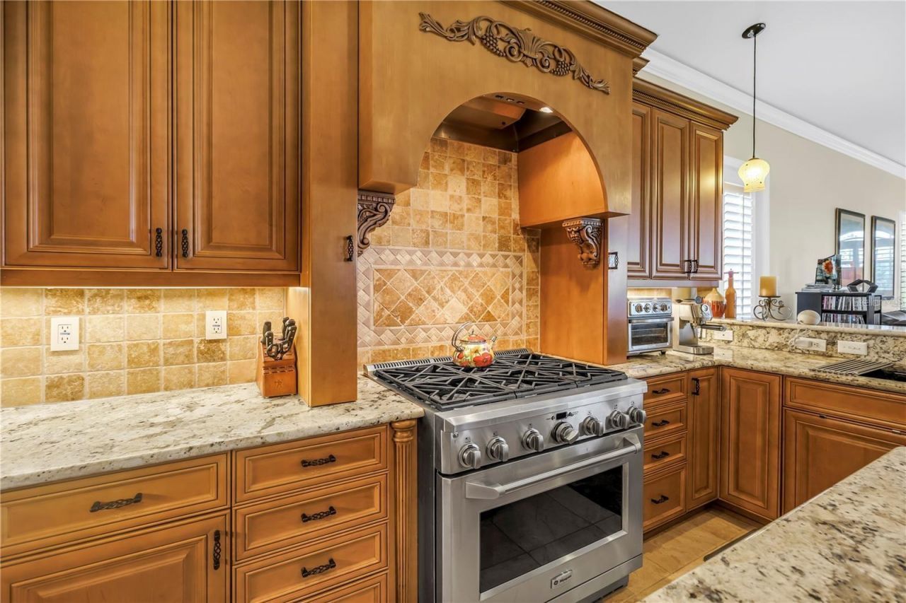 2101 N Pointe Alexis Drive, Tarpon Springs, FL 34689 Photo