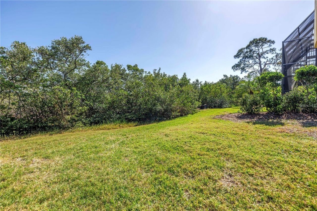 2101 N Pointe Alexis Drive, Tarpon Springs, FL 34689 Photo