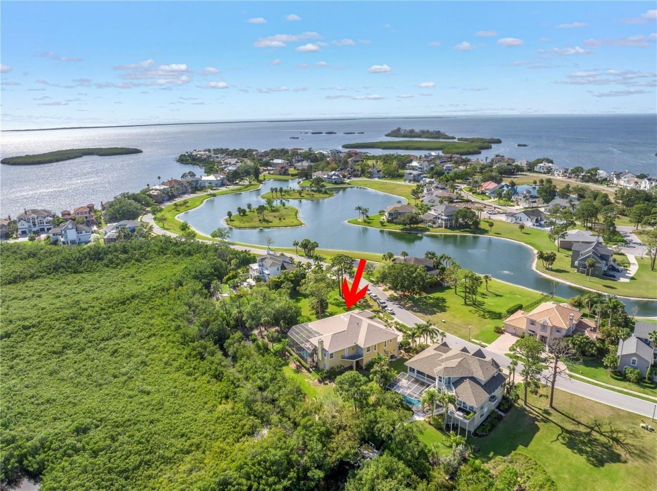 2101 N Pointe Alexis Drive, Tarpon Springs, FL 34689 Photo