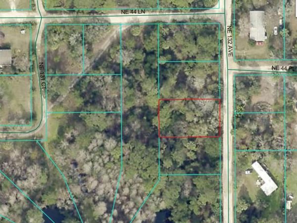 4426 NE 132ND AVENUE, SILVER SPRINGS, FL 34488
