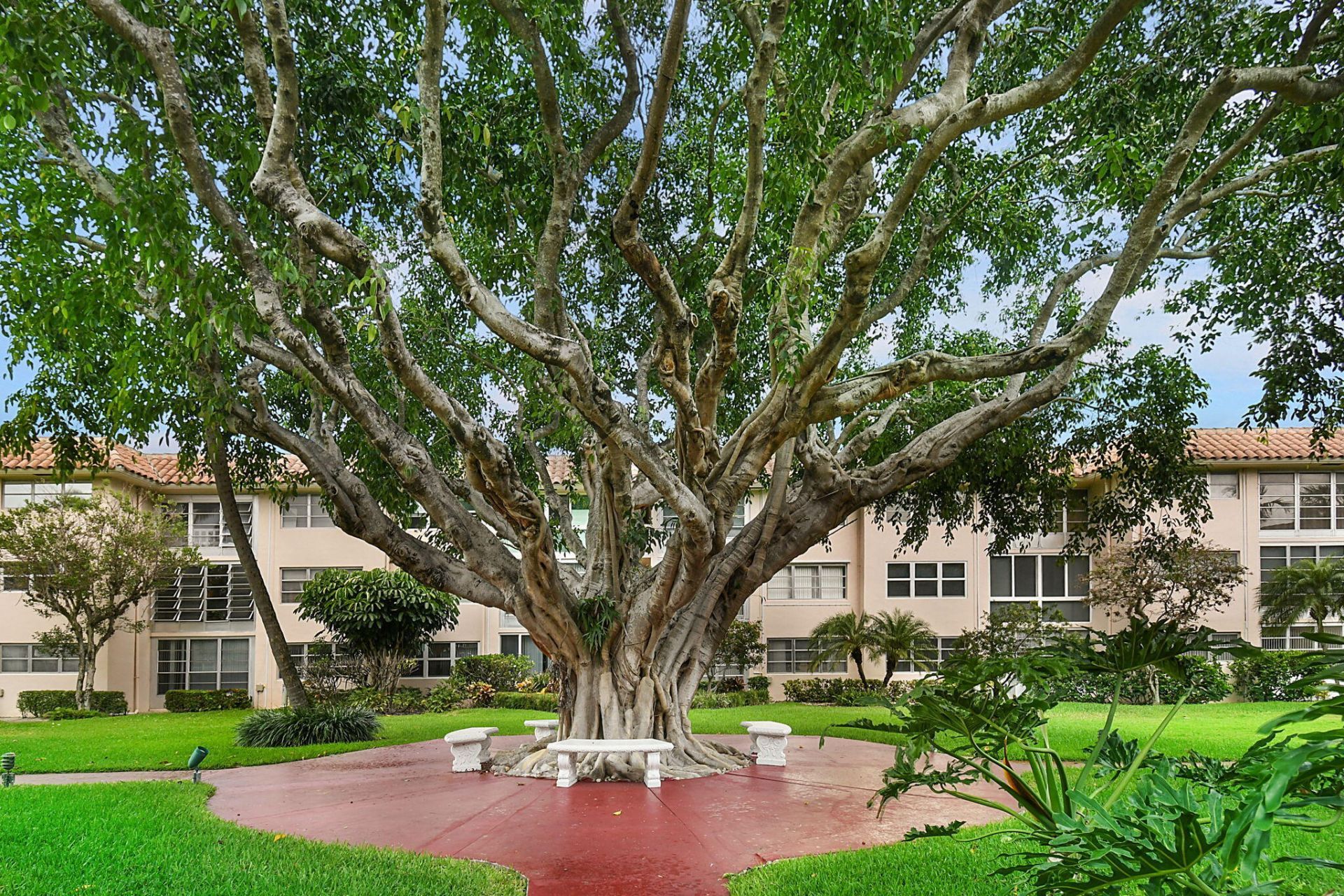 400 NE 20th Street, Unit A207, Boca Raton, FL 33431 Photo