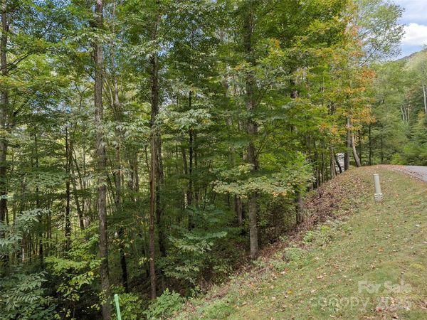 0 Macallan Drive, Waynesville, NC 28786