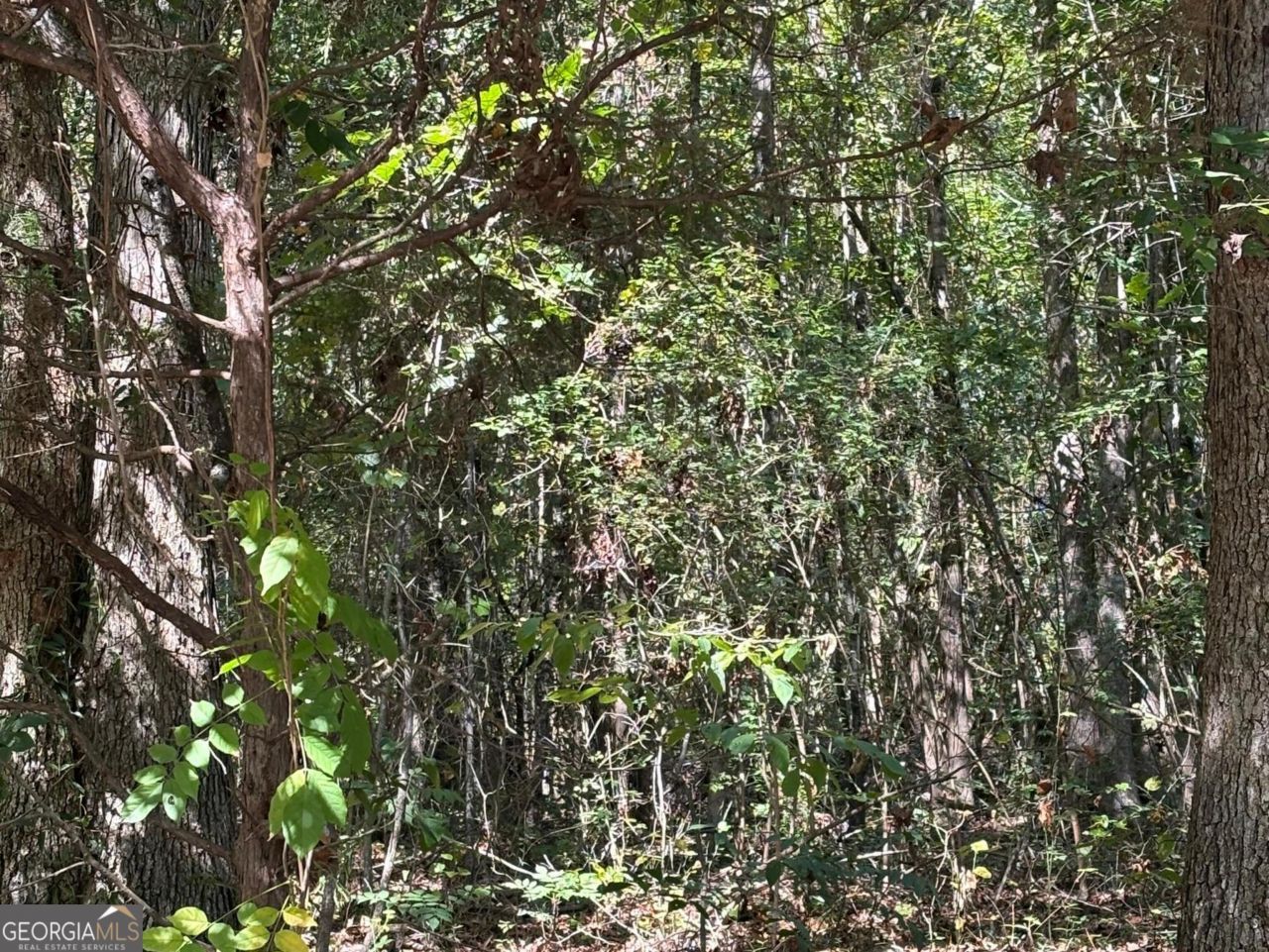 0 Old Greensboro Road, Union Point, GA 30669 Main Photo