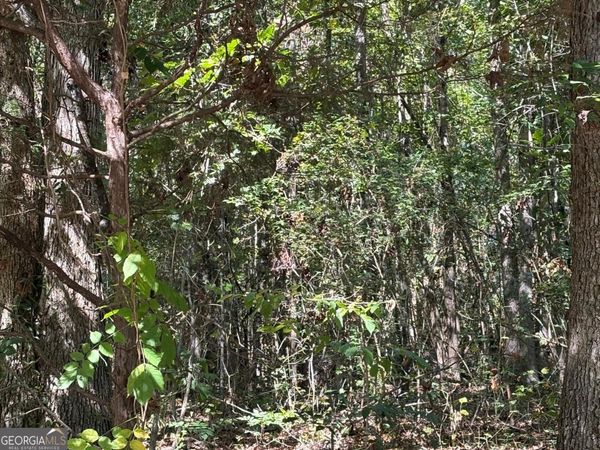 0 Old Greensboro Road, Union Point, GA 30669