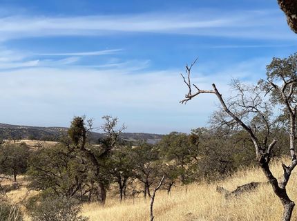 Moccassin Ranch, La Grange, CA 95329 Photo