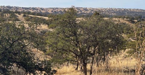 Moccassin Ranch, La Grange, CA 95329 Photo