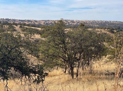 Moccassin Ranch, La Grange, CA 95329 Photo