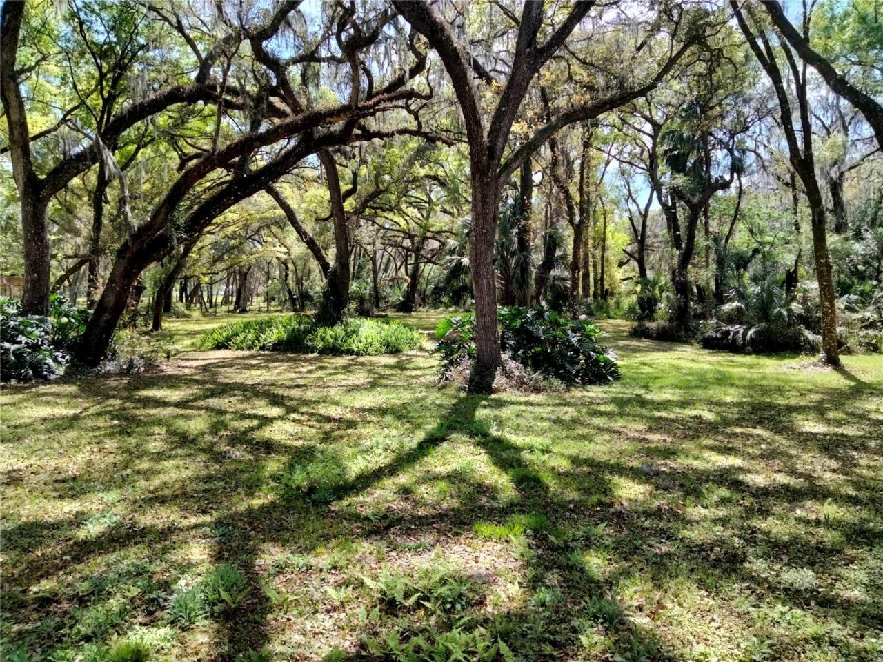 5151 Shakespeare Drive, Dover, FL 33527 Photo