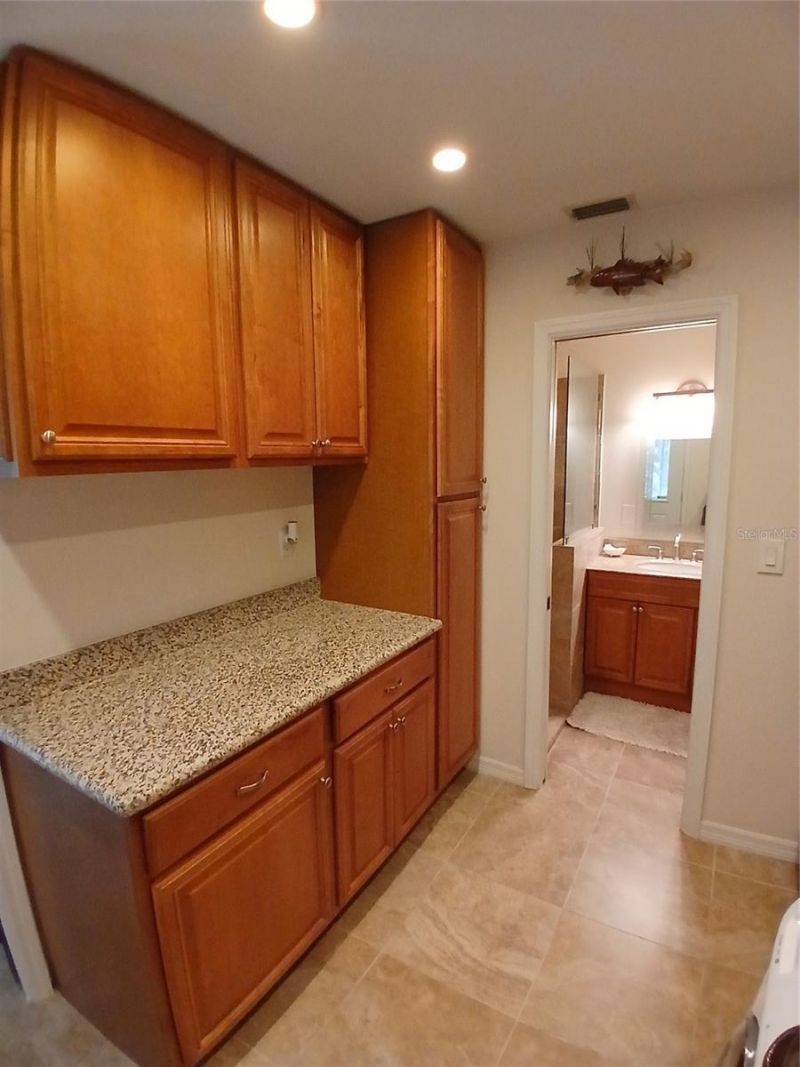 5151 Shakespeare Drive, Dover, FL 33527 Photo