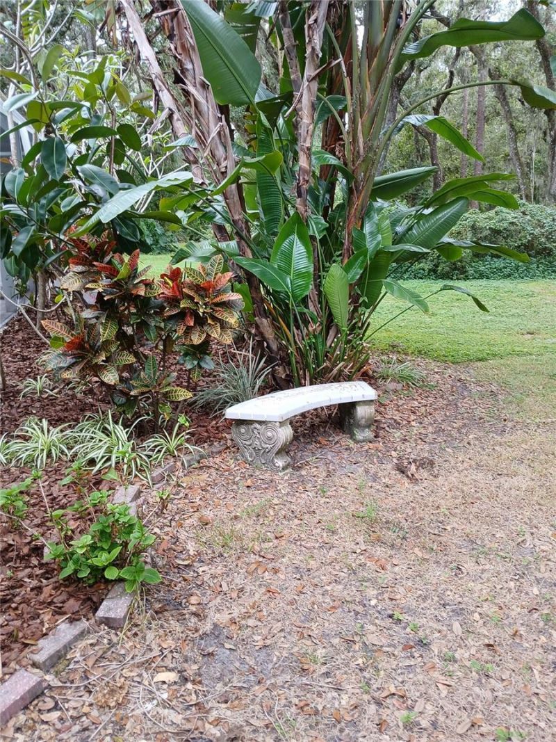 5151 Shakespeare Drive, Dover, FL 33527 Photo