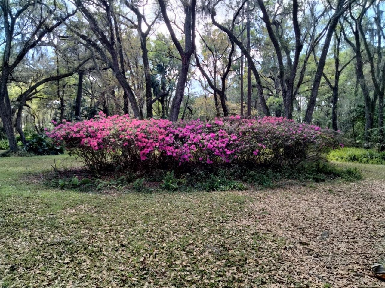 5151 Shakespeare Drive, Dover, FL 33527 Photo