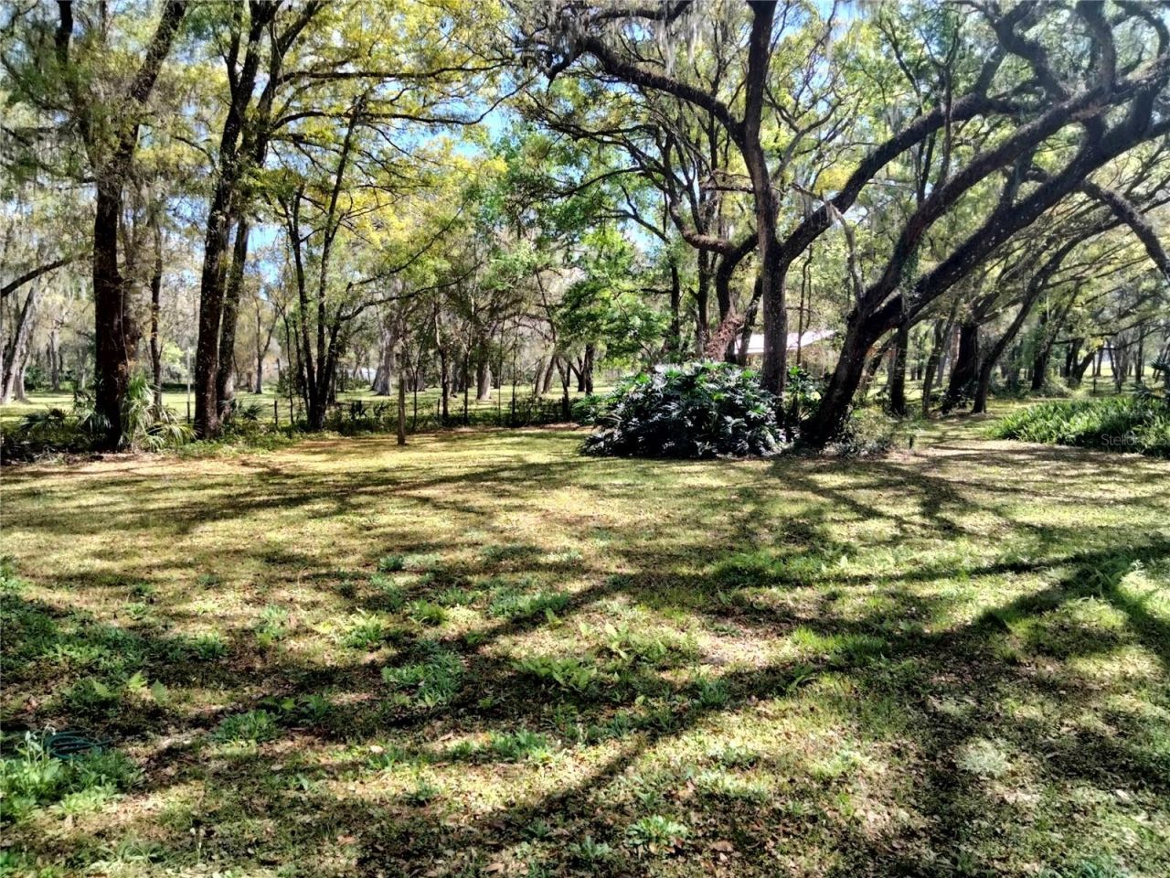 5151 Shakespeare Drive, Dover, FL 33527 Photo