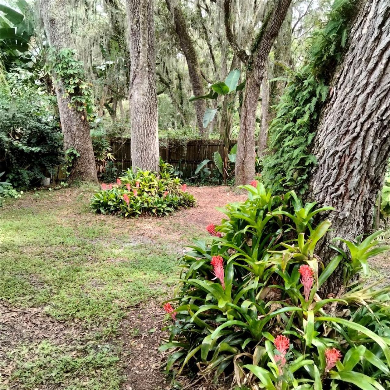 5151 Shakespeare Drive, Dover, FL 33527 Photo