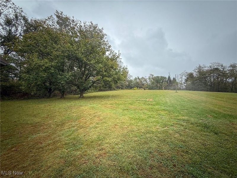 1667 County Rd 11, Dillonvale, OH 43917 Photo 14