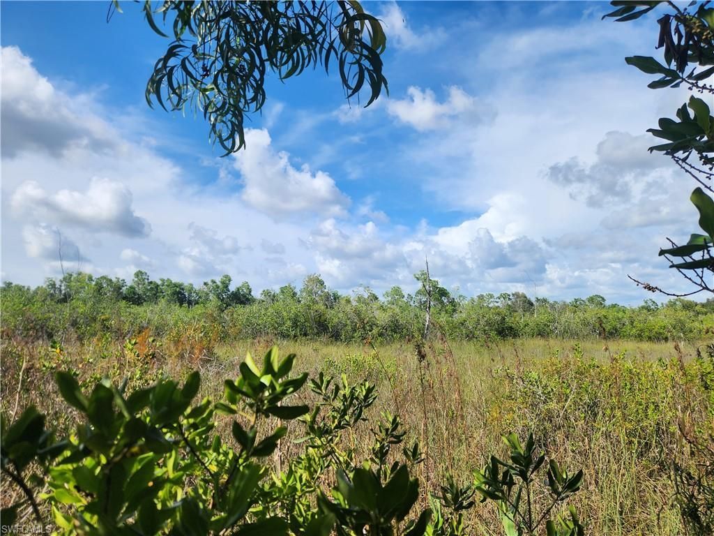 Port Au Prince Rd, Naples, FL 34114 Photo