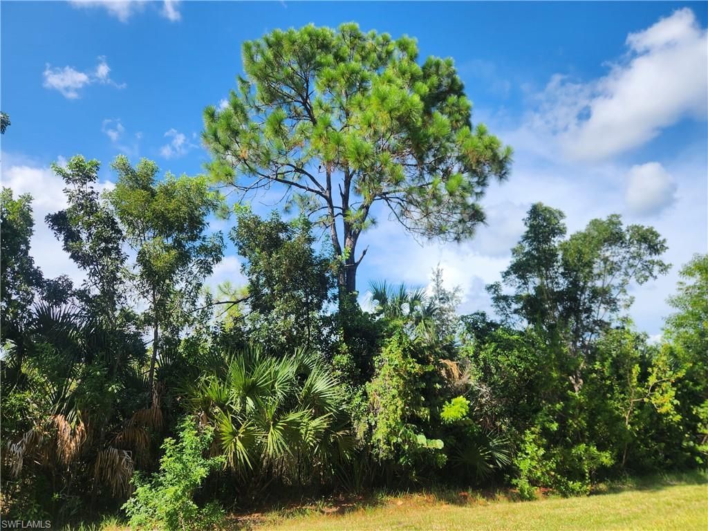 Port Au Prince Rd, Naples, FL 34114 Photo