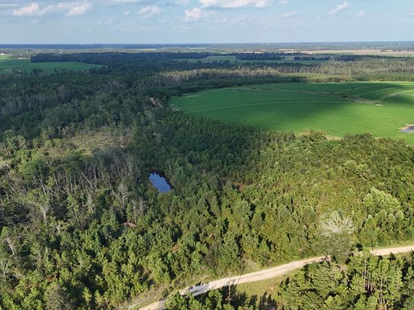 TRACT 3 Rhonda Coleman Road, Hazlehurst, GA 31539