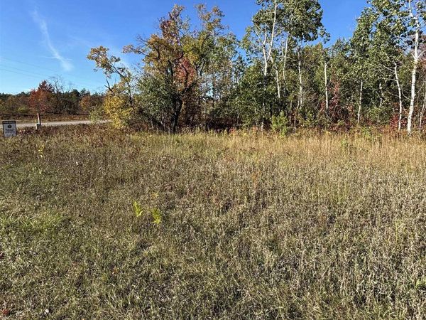 1200 Thornton Drive, Mancelona, MI 49659