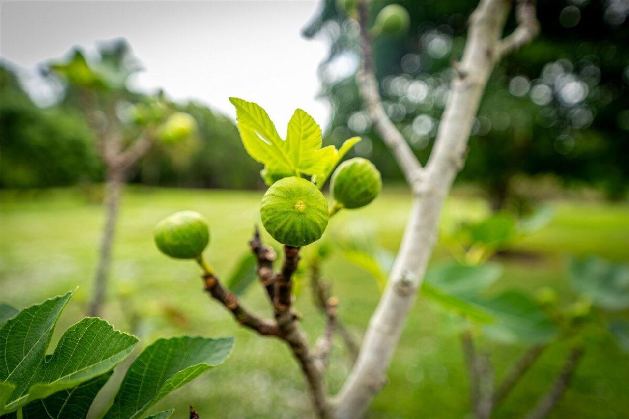 174 SE Osprey Ridge, Port Saint Lucie, FL 34984 Photo