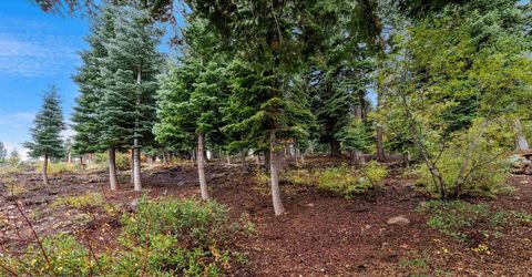 11926 Rhineland Avenue, Truckee, CA 96161 Photo