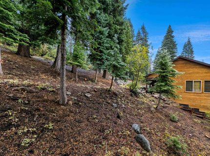 11926 Rhineland Avenue, Truckee, CA 96161 Photo