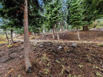11926 Rhineland Avenue, Truckee, CA 96161 Photo