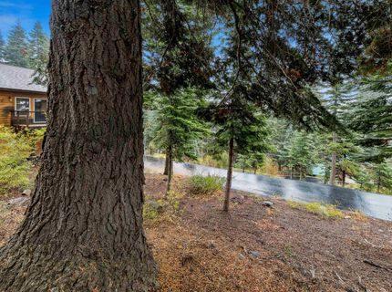 11926 Rhineland Avenue, Truckee, CA 96161 Photo