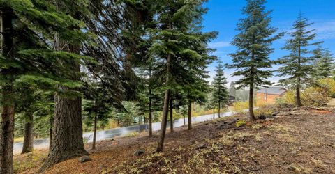 11926 Rhineland Avenue, Truckee, CA 96161 Photo