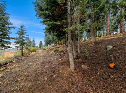 11926 Rhineland Avenue, Truckee, CA 96161 Photo