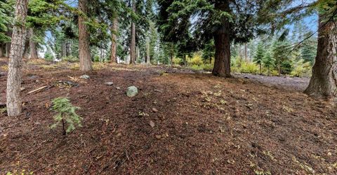 11926 Rhineland Avenue, Truckee, CA 96161 Photo