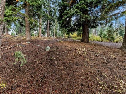 11926 Rhineland Avenue, Truckee, CA 96161 Photo