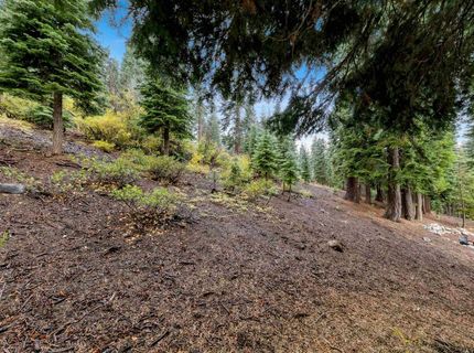 11926 Rhineland Avenue, Truckee, CA 96161 Photo