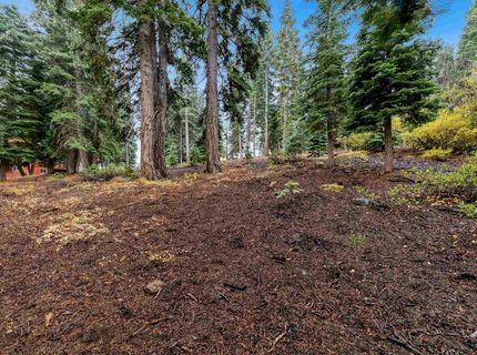 11926 Rhineland Avenue, Truckee, CA 96161 Photo