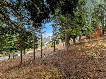 11926 Rhineland Avenue, Truckee, CA 96161 Photo