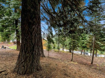 11926 Rhineland Avenue, Truckee, CA 96161 Photo