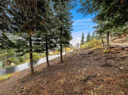 11926 Rhineland Avenue, Truckee, CA 96161 Photo