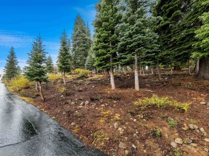 11926 Rhineland Avenue, Truckee, CA 96161 Photo