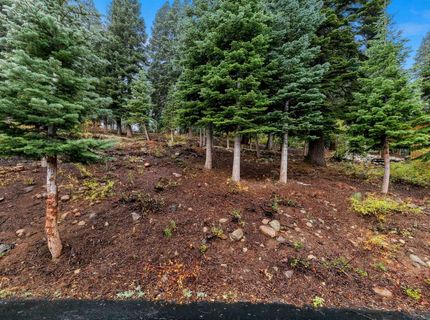 11926 Rhineland Avenue, Truckee, CA 96161 Photo