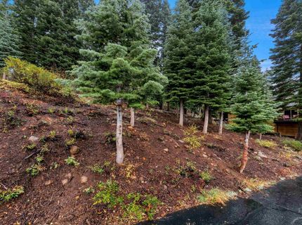 11926 Rhineland Avenue, Truckee, CA 96161 Photo